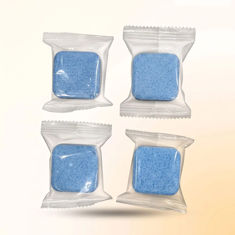 Washing Machine Cleaning Tablets by SEVA Indore